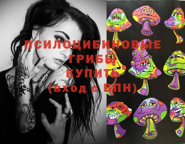 эйфоретик Невель