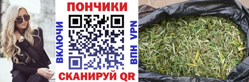 купить наркотик  МЕГА ссылка  МАРИХУАНА план  Спасск 